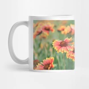 Red and Yellow Gaillardia Wildflowers Mug